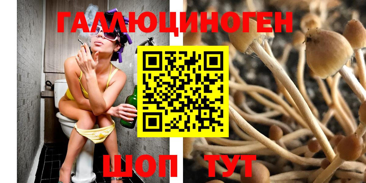 Псилоцибиновые грибы мухоморы Избербаш